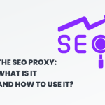 SEO Proxy