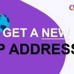 获取新的 IP 地址
