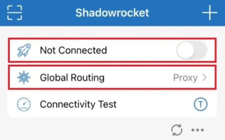 Shadowrocket Global Routing