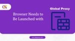 browser needs to be launched with the global proxy bug