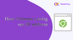 chrome config посмотреть ip-адрес