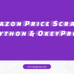 Amazon Price Scraping mit Python beherrschen: Markteinblicke mit OkeyProxy erschließen
