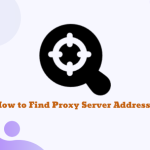 プロキシサーバーのIPアドレスを調べる方法