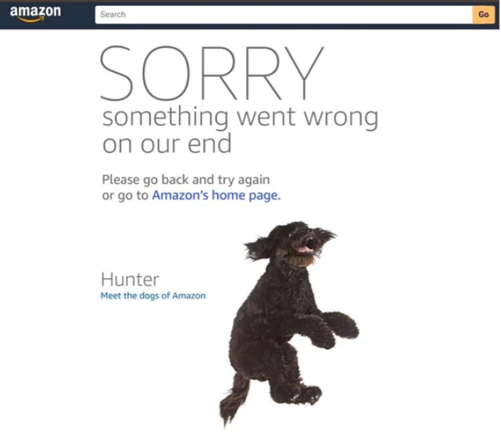 amazon sorry something went wrong on our end