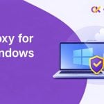 прокси для windows