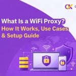 什么是 wifi 代理