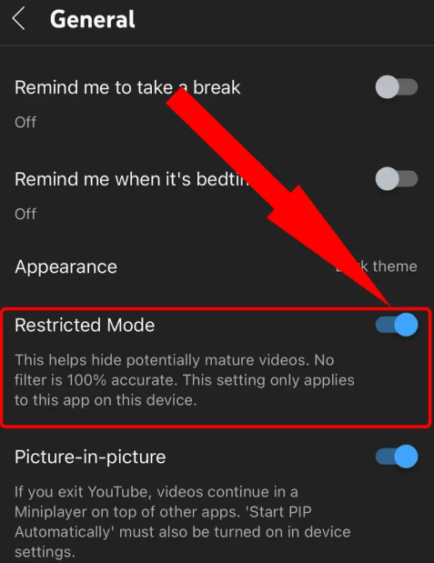 youtube disable restricted mode