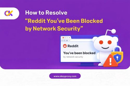 如何解决 "Reddit 您被网络安全拦截 "问题 您的 reddit 已被网络安全屏蔽