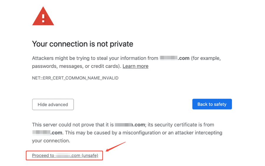 bypass your connection is not private