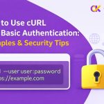 curl basic auth