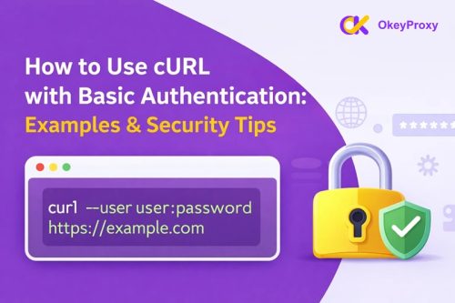 curl basic auth