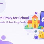discord proxy for school